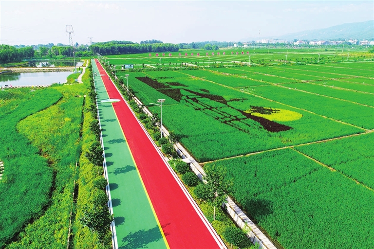 太原環(huán)境空氣質(zhì)量穩(wěn)中向好 PM2.5濃度同比下降超兩成