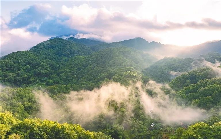 中央第一生態(tài)環(huán)境保護(hù)督察組 向我市交辦第二十二批群眾信訪舉報件情況 
